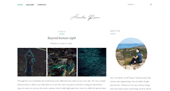 Desktop Screenshot of ameliapaine.com